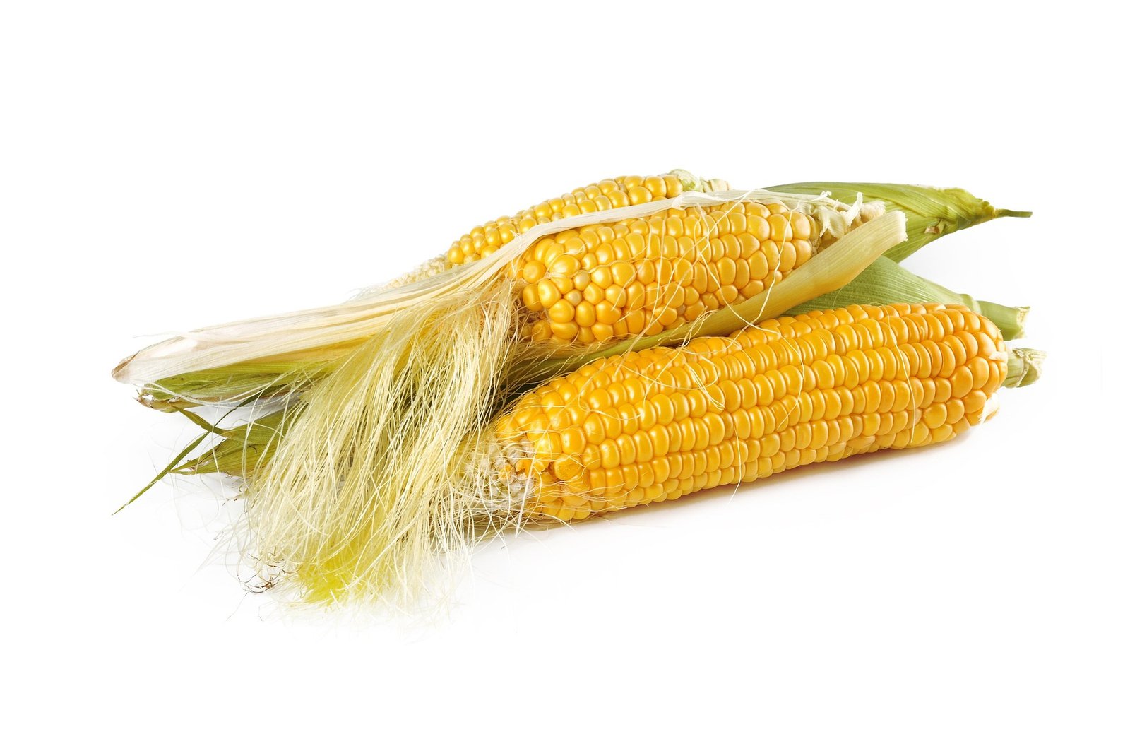 Maize View 3