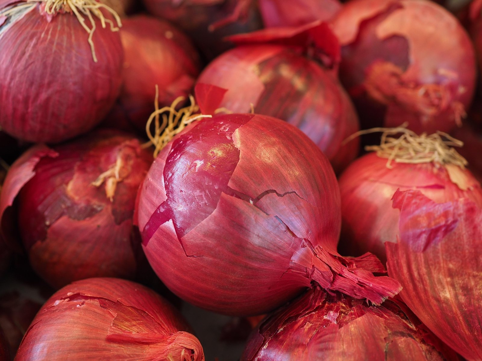 Premium Red Onion Export