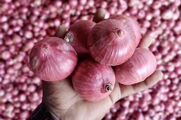 Red Onion View 2